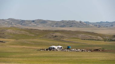Baruuntunuun, Moğolistan - 8 Ağustos 2019: Moğolistan bozkırında iki yurdu, arabası ve atı olan göçebe yaşam.