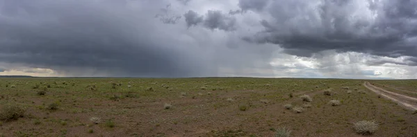 Mongoolse Steppen Met Gras Verlaten Weg Mongolië Met Regenwolken Lucht — Stockfoto