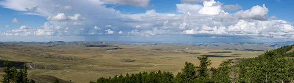 Panorama Steppe Mongolia Summer Grass Fields Trees Backgroudn Hills Mountains — Stock Photo, Image