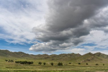 Moğolistan 'daki Steppe' deki ağaçlar kara yağmur bulutları ve dağlarla.