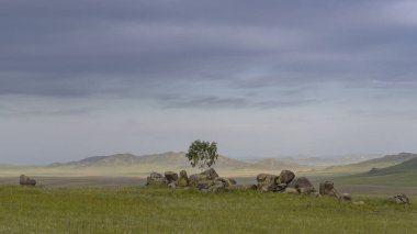 Moğolistan 'da Orkhon ve Jargalant yakınlarındaki taş oluşumları akşam saatlerinde bozkırda ağaçlarla birlikte..