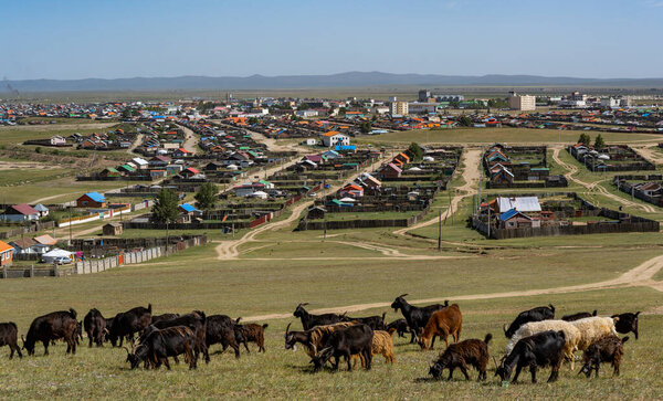 Каракорум, Монголия - 29 августа 2019 года: город Каракорум, Харакхорум, со зданиями и домами и перед стадом коз на степи Монголии.