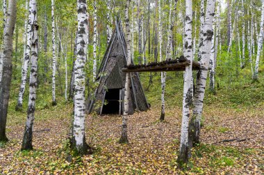 Taltsy, Rusya - 5 Eylül 2019 Taltsy Müzesi Sibirya, Rusya 'da bir huş ağacında ahşap kabuk çadırı.