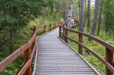Doğa Koruma Alanı Zapovednik Stolby Krasnojarsk yakınlarında yürüyüş yolu ile.