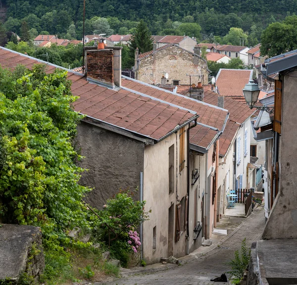 Strada Liverdun Francia Con Vecchie Case Foresta — Foto Stock