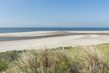 Kumsalda maasvlakte rotterdam