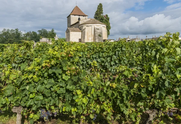 Francs og Tayacs 'kirke og vingård – stockfoto