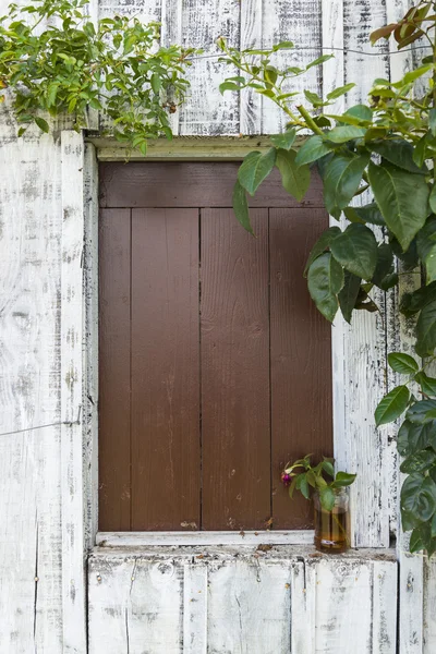 Stängda fönster med ros — Stockfoto