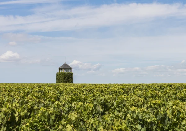 Tower in vinyard Saint Seurin de Cardourne — Stock Photo, Image