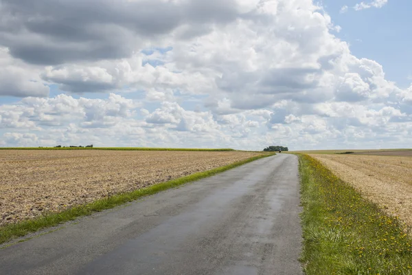 Clouds over Farmland near Royan with cyclist. — Stock Photo, Image