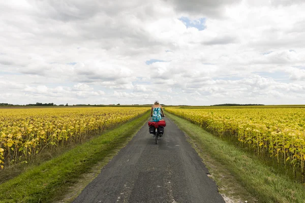 Farmland near Royan with cyclist. — Stock Photo, Image