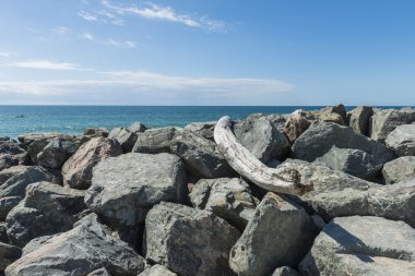 Okyanus kayalar ve cano