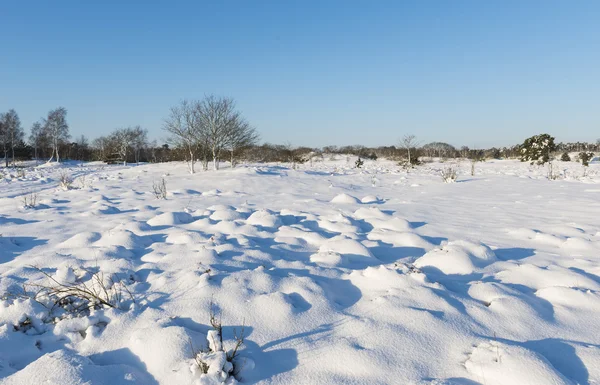 Paisaje invernal — Foto de Stock