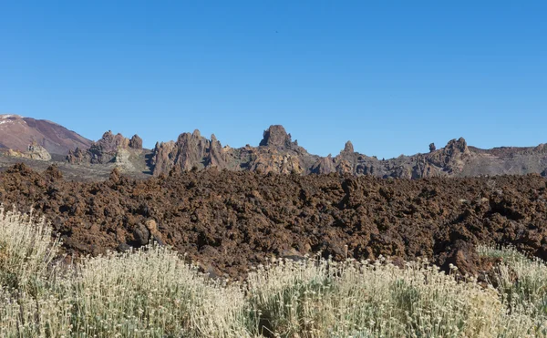 Λάβα πεδίο El Teide με θάμνους — Φωτογραφία Αρχείου