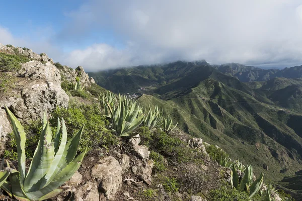 Montanhas em Tenerife — Fotografia de Stock