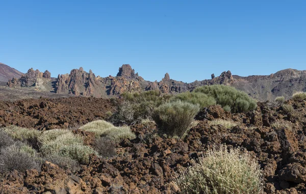 Lava Field with El Teide — Stock Photo, Image