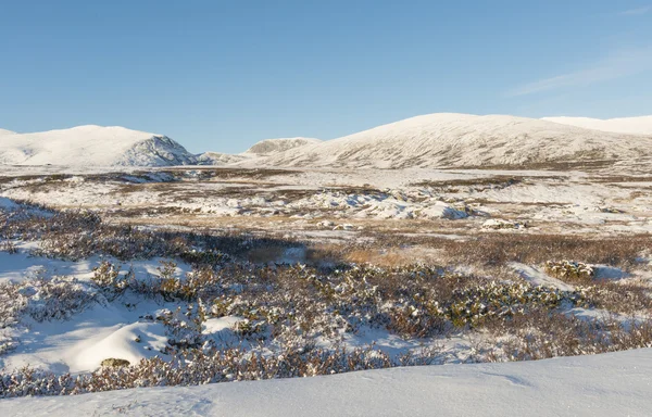 Winter Dovrefjell Hills Norway — Stock Photo, Image