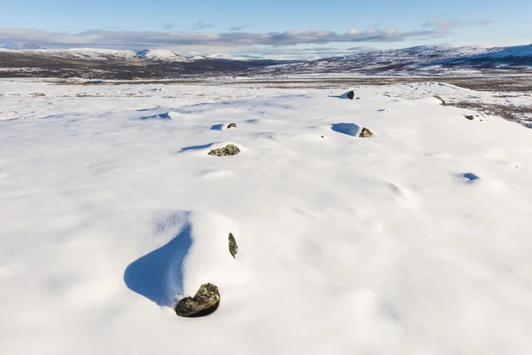 Winter Dovrefjell — Stock Photo, Image