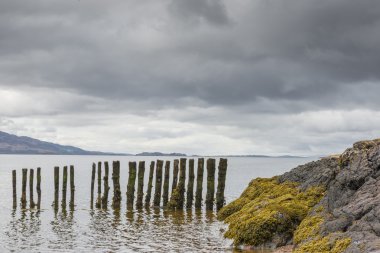Polonyalılar İskoçya