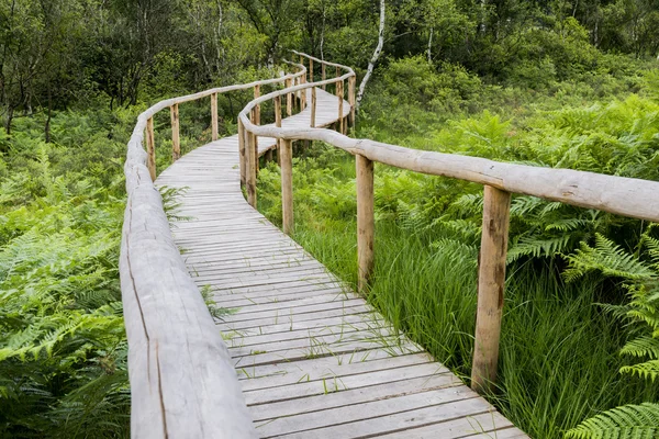 Houten wandelpad Detail — Stockfoto