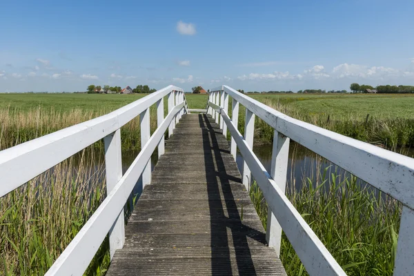 Мост в Workum Friesland — стоковое фото