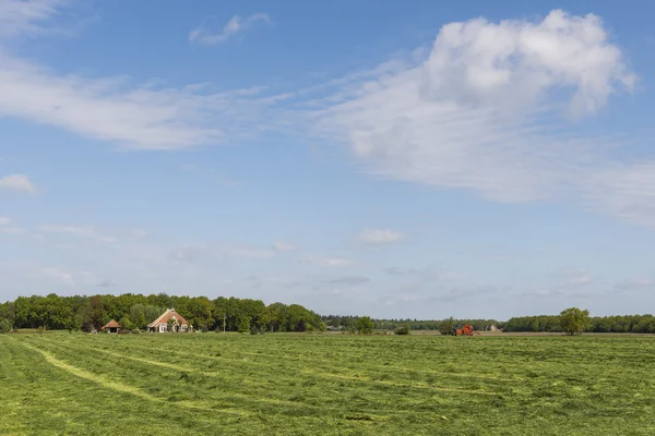 Friesland, Lemmer — Stockfoto