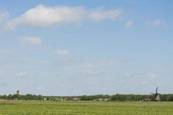 Mühle Zwaantje mit Grünland in Friesland — Stockfoto