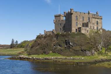 Kale Dunvegan