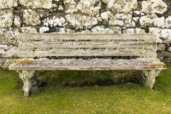 Lichen on Bench — Stock Photo, Image