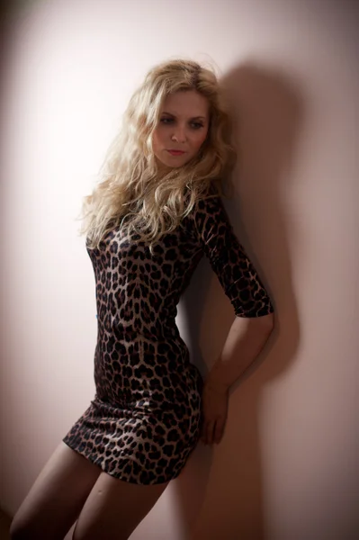 Attraktive sexy Blondine in eng anliegendem kurzen Kleid mit Animal Print posiert provokant drinnen. Porträt einer sinnlichen Frau in klassischer Boudoir-Szene an einer Wand. schönes blondes Haar weiblich, Innenaufnahme. — Stockfoto