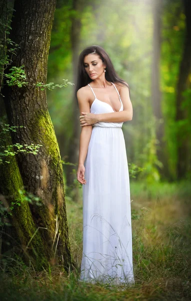 Belle jeune femme portant une élégante robe blanche longue profitant des rayons de lumière céleste sur son visage dans des bois enchantés. Femme brune aux cheveux longs à la recherche d'une princesse glamour dans la forêt — Photo