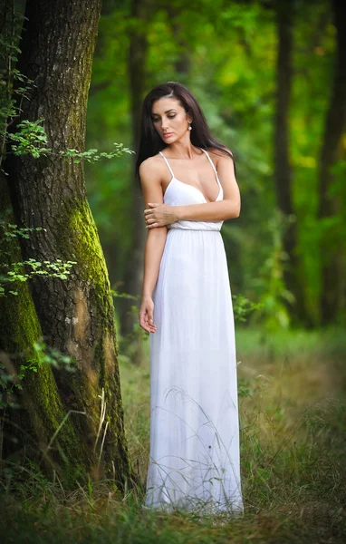 Belle jeune femme portant une élégante robe blanche longue profitant des rayons de lumière céleste sur son visage dans des bois enchantés. Femme brune aux cheveux longs à la recherche d'une princesse glamour dans la forêt — Photo