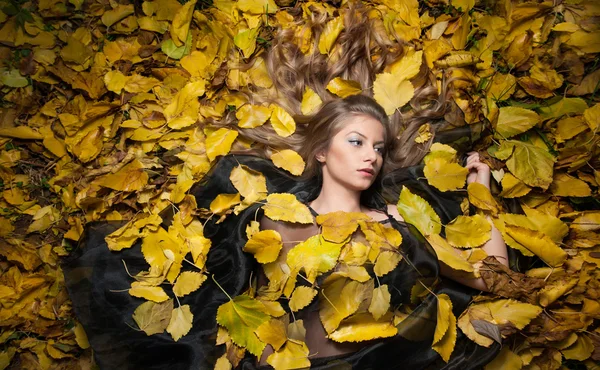 Menina agradável coberto com folhas outonais. Jovem que se deita no chão coberto pela folhagem de queda no parque. Menina sexy bonita deitada em folhas de outono. Jovem coberta de folhas douradas de outono — Fotografia de Stock