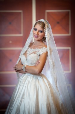 Lüks iç poz gelinlik genç güzel lüks kadın. Uzun örtü ile muhteşem zarif gelin. Baştan çıkarıcı sarışın gelin moda elbise, kapalı ile tam uzunlukta portre vurdu