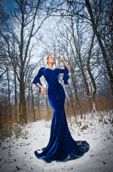 Schöne junge Dame in elegantem blauen Kleid posiert in winterlicher Landschaft, königlicher Look. modische blonde Frau mit Wald im Hintergrund, Außenaufnahme. glamouröses blondes Haar weiblich in der Natur - Prinzessinnen-Stil — Stockfoto