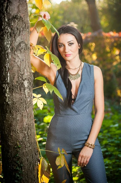 Mulher bonita em cinza posando no parque outonal. Jovem morena passando tempo no outono perto de uma árvore na floresta. Longo cabelo escuro mulher atraente sorrindo com folhas desbotadas ao redor dela, tiro ao ar livre — Fotografia de Stock