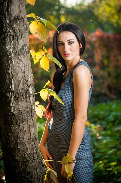 Mulher bonita em cinza posando no parque outonal. Jovem morena passando tempo no outono perto de uma árvore na floresta. Longo cabelo escuro mulher atraente sorrindo com folhas desbotadas ao redor dela, tiro ao ar livre — Fotografia de Stock