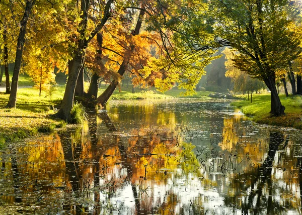 Bright morning over river in the forest. River and trees in fall. Autumnal morning with beautiful warm colors in park — Stock Photo, Image