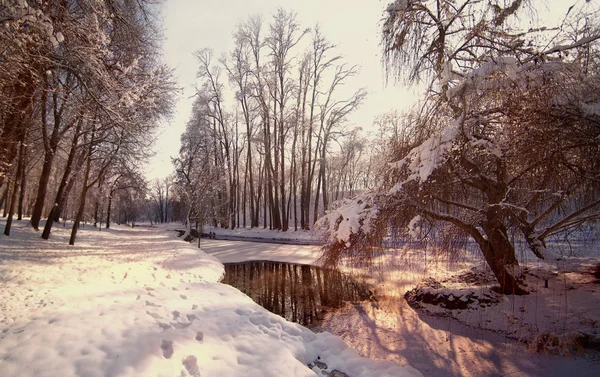 Landscape frozen river near a forest in the winter. View of frozen river in park. Brook in snowy landscape. Small river in winter scenery. Wild brook in winter season in bright sunny day — Zdjęcie stockowe