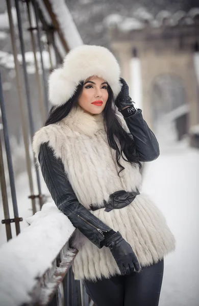 白い毛皮の帽子とチョッキ鉄フェンス近く冬景色を楽しんでいる女性。長い髪が魅力的なブルネットの少女の冬の風景でポーズします。寒い日の明るく赤い唇と美しい女性 — ストック写真