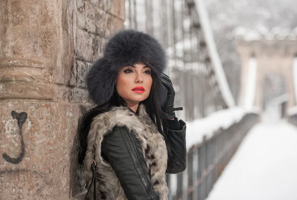Atrakcyjna kobieta z czarnego futra WPR i szary kamizelka ciesząc się zimą. Widok z boku modne brunetka girl pozowanie przed śniegiem kryty most. Piękna młoda kobieta z zimnej pogody strój — Zdjęcie stockowe
