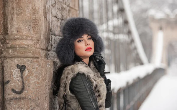 Attraktive Frau mit schwarzer Pelzmütze und grauer Weste, die den Winter genießt. Seitenansicht der modischen Brünette Mädchen posiert gegen schneebedeckten Brücke. schönes junges Weibchen mit kaltem Wetter-Outfit — Stockfoto