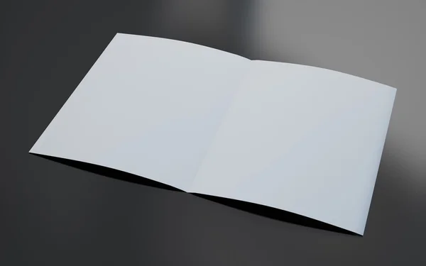 空白の開かれたパンフレット — ストック写真