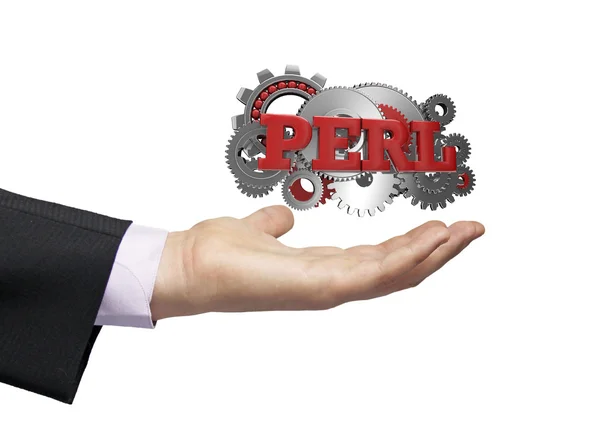 Perl hombre de negocios — Foto de Stock