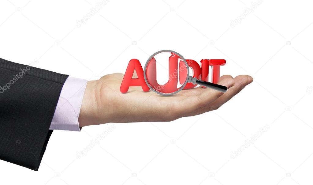 audit businessman