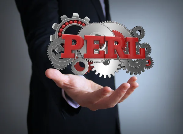 Perl coding gears — Stock Photo, Image