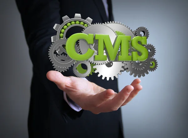 Cms codifica ingranaggi — Foto Stock