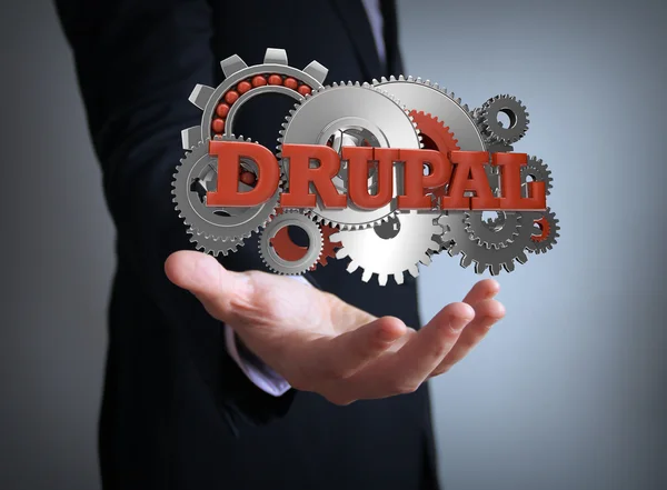 Drupal an der Hand des Geschäftsmannes — Stockfoto