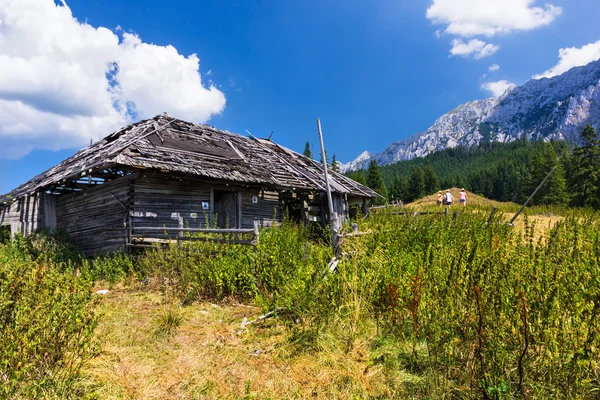 Wandelaars op Piatra Craiului mountain inn Roemenië — Stockfoto