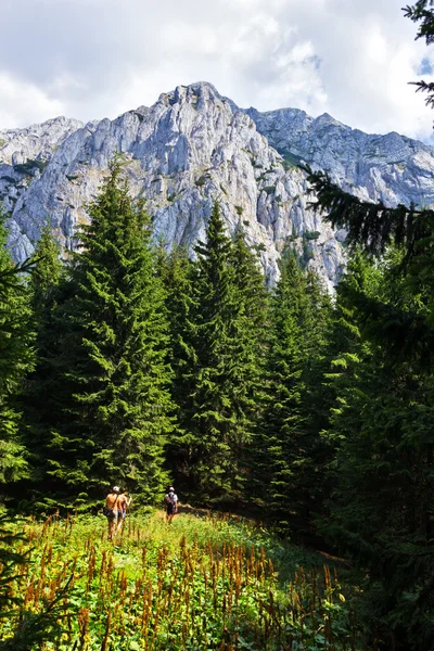 Туристы на каменных горах Принца — стоковое фото